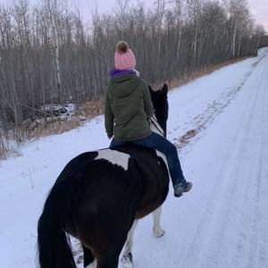 Meet your Posher, Abigail